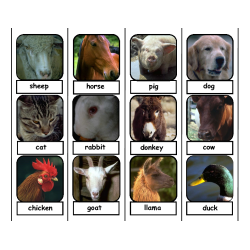 Farm Animal Face Labeling Task for Autism